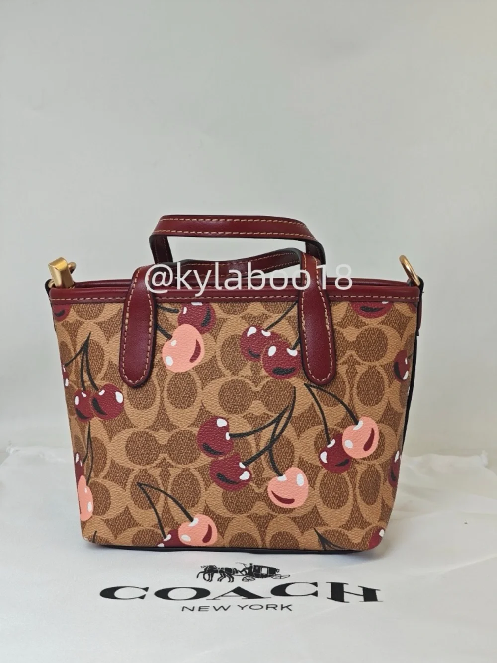 Coach Cherry-Print Small Satchel - Brown/Maroon/Pink